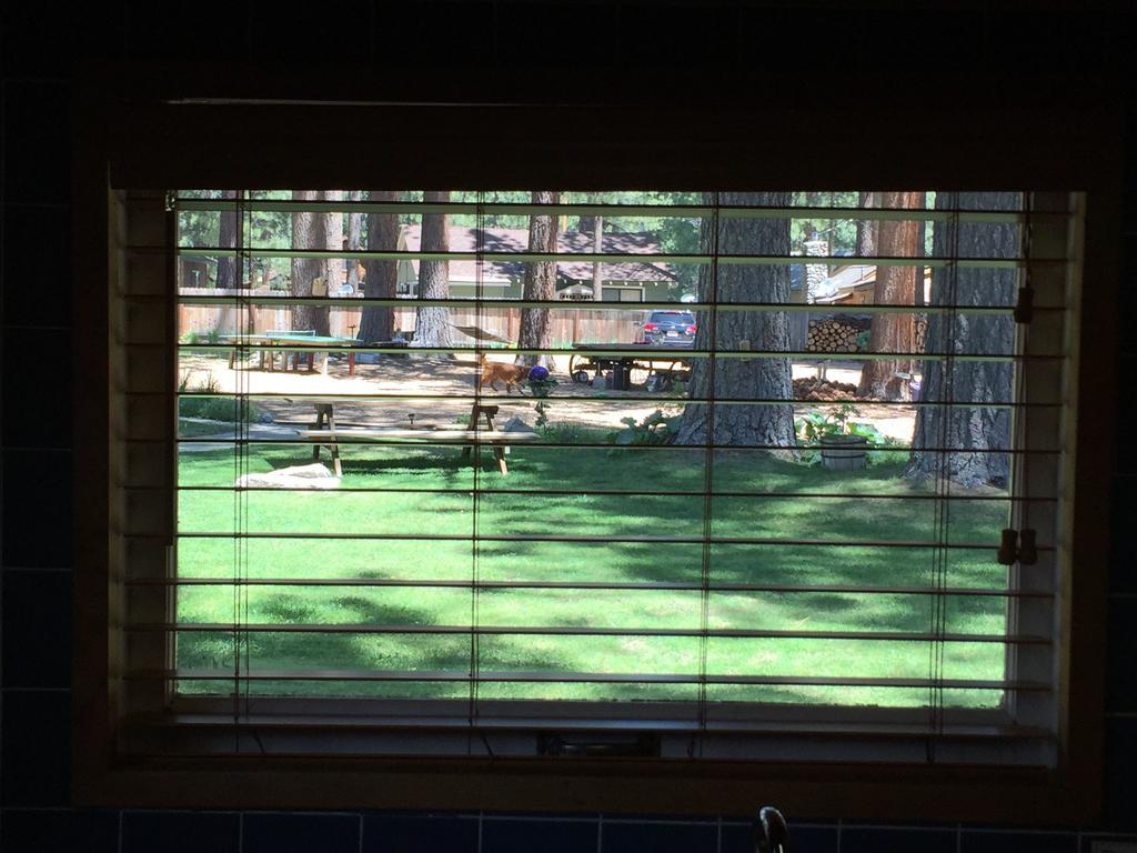 Holly'S Place South Lake Tahoe Rum bild